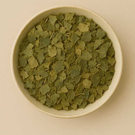 Bulk Dried Witch Hazel Leaves – Wholesale & B2B Botanical Supplier