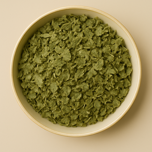 Bulk Dried Lemon Balm – Wholesale & B2B Botanical Supplier