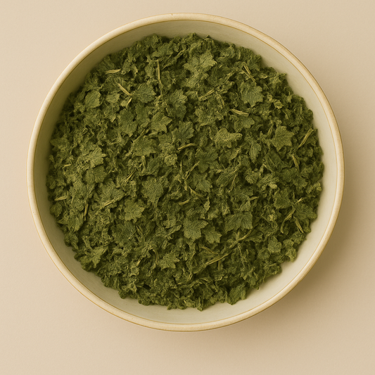 Bulk Dried Nettle Stinging Herb Cut – Wholesale & B2B Botanical Supplier