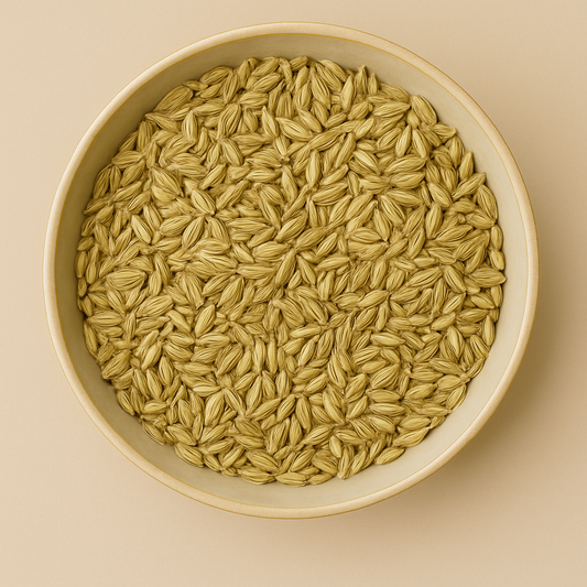 Bulk Dried Fennel Seed – Wholesale & B2B Botanical Supplier