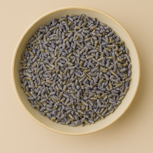 Bulk Dried Lavender Blossoms – Wholesale & B2B Botanical Supplier
